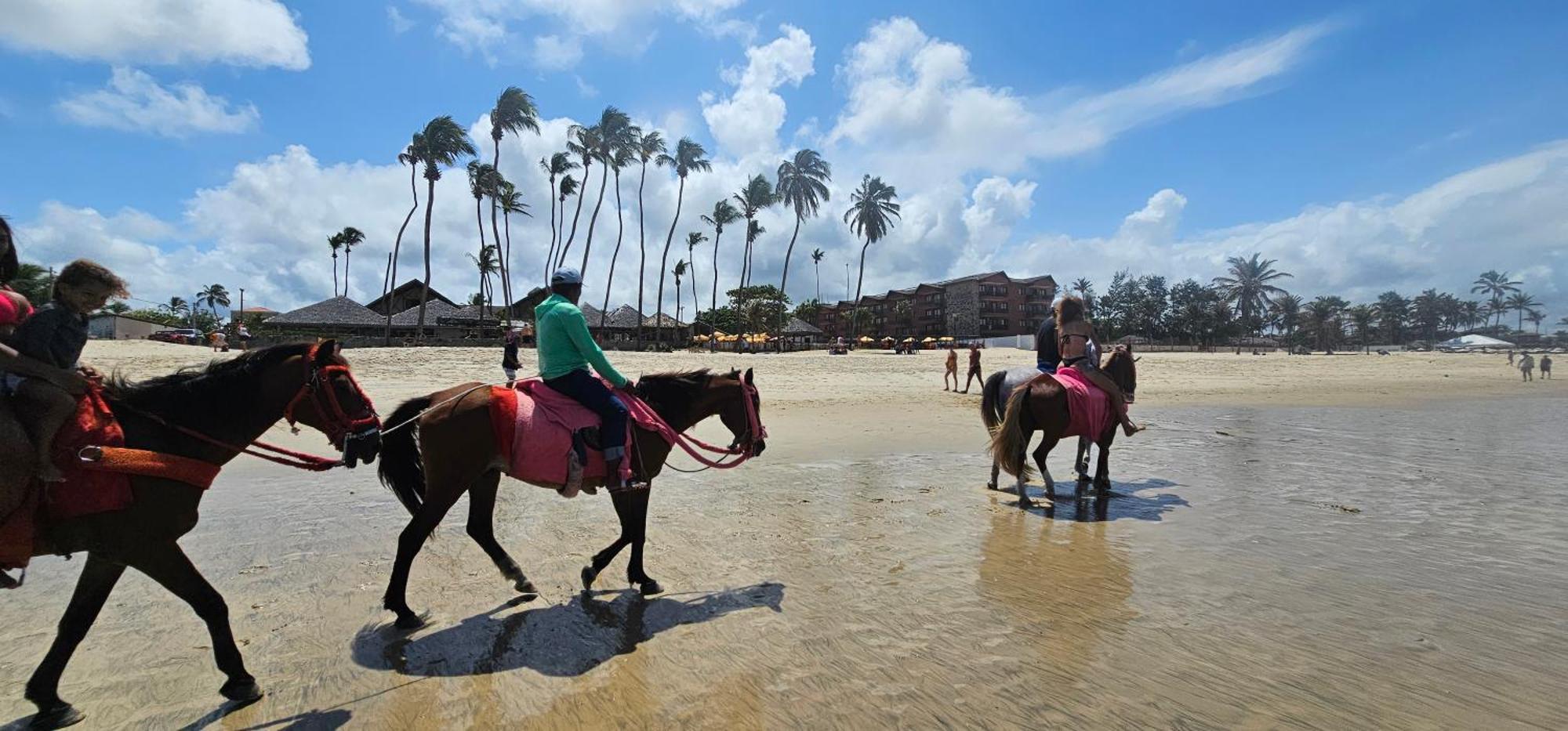 Frente Mar - - Eco Paradise *