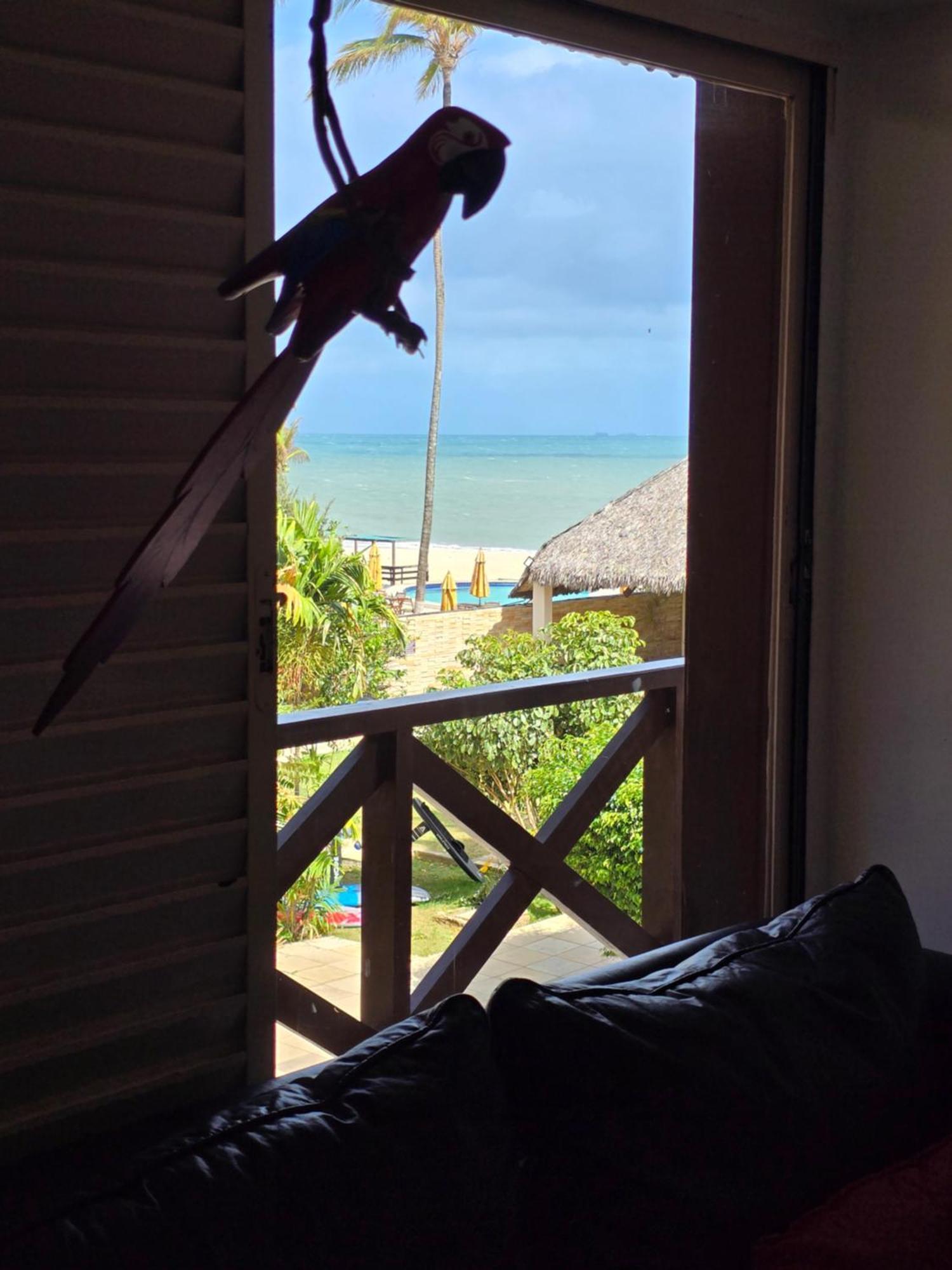 Frente Mar - - Eco Paradise * Cumbuco